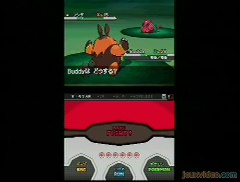 Pokémon Version Blanche : 1/2 : Généralités