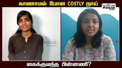 காணாமல் போன costly நாய், கண்டுபிடிக்க உதவிய பிடிஆர்!