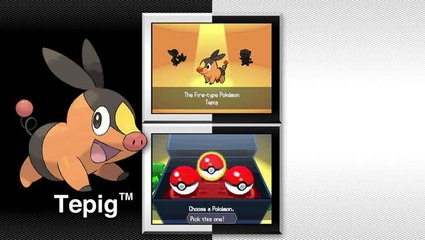 Pokémon Version Blanche : Un nouvel univers