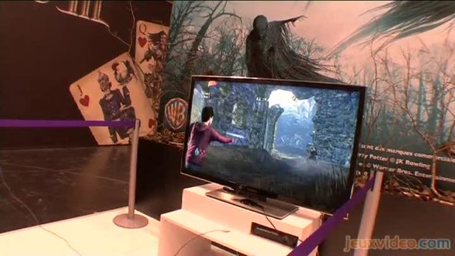 Harry Potter et les Reliques de la Mort - Première Partie : PGW 2010