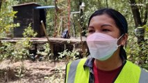 Plastik, Reifen und Schuhsohlen: Der Müll bedroht Panamas Mangrovenwälder
