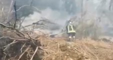 Incendi boschivi nel Bresciano, Vigili del Fuoco in azione a Vezza d’Oglio (30.03.22)