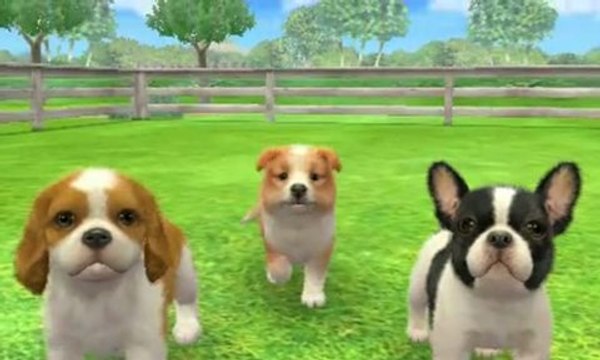 Nintendogs + Cats Golden Retriever & ses Nouveaux Amis : Jeux en pagaille
