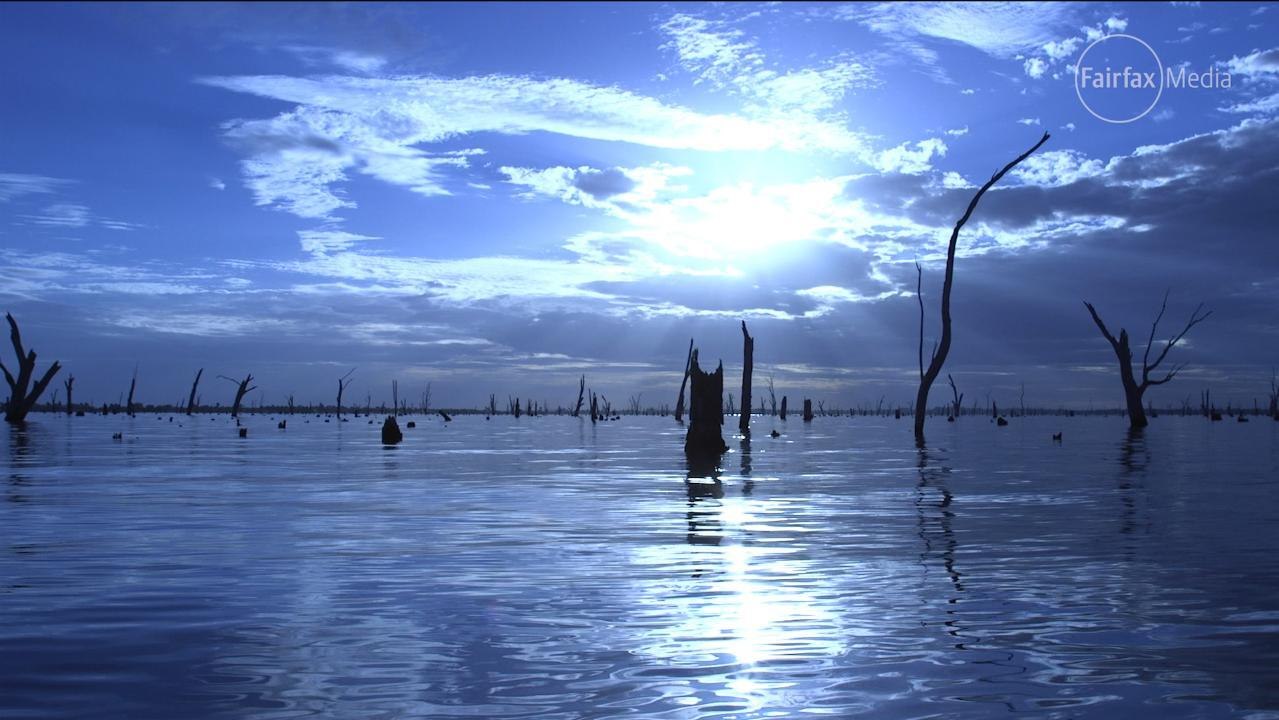 Pelican Island Video