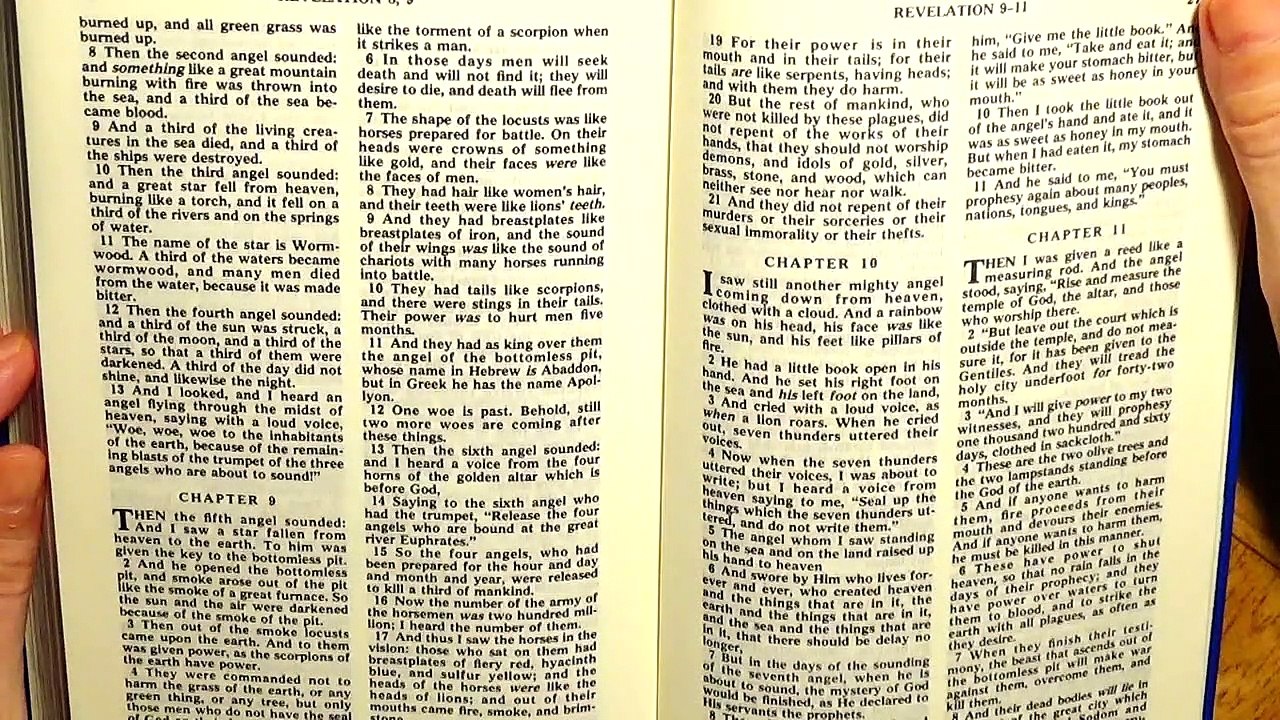Revelation 9, the New Testament