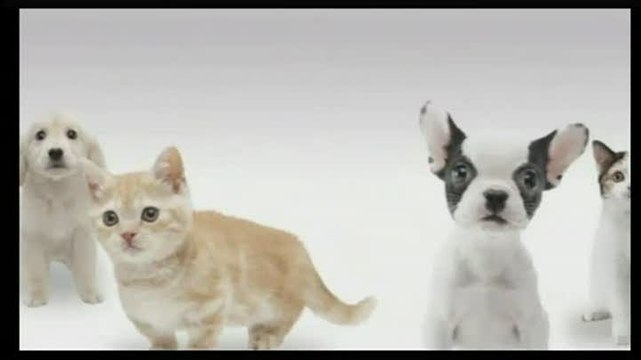 Nintendogs + Cats Golden Retriever & ses Nouveaux Amis : Gameplay