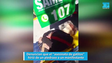 Escracharon al asesino de gatitos y lo acusan de herir a piedrazos a un vecino