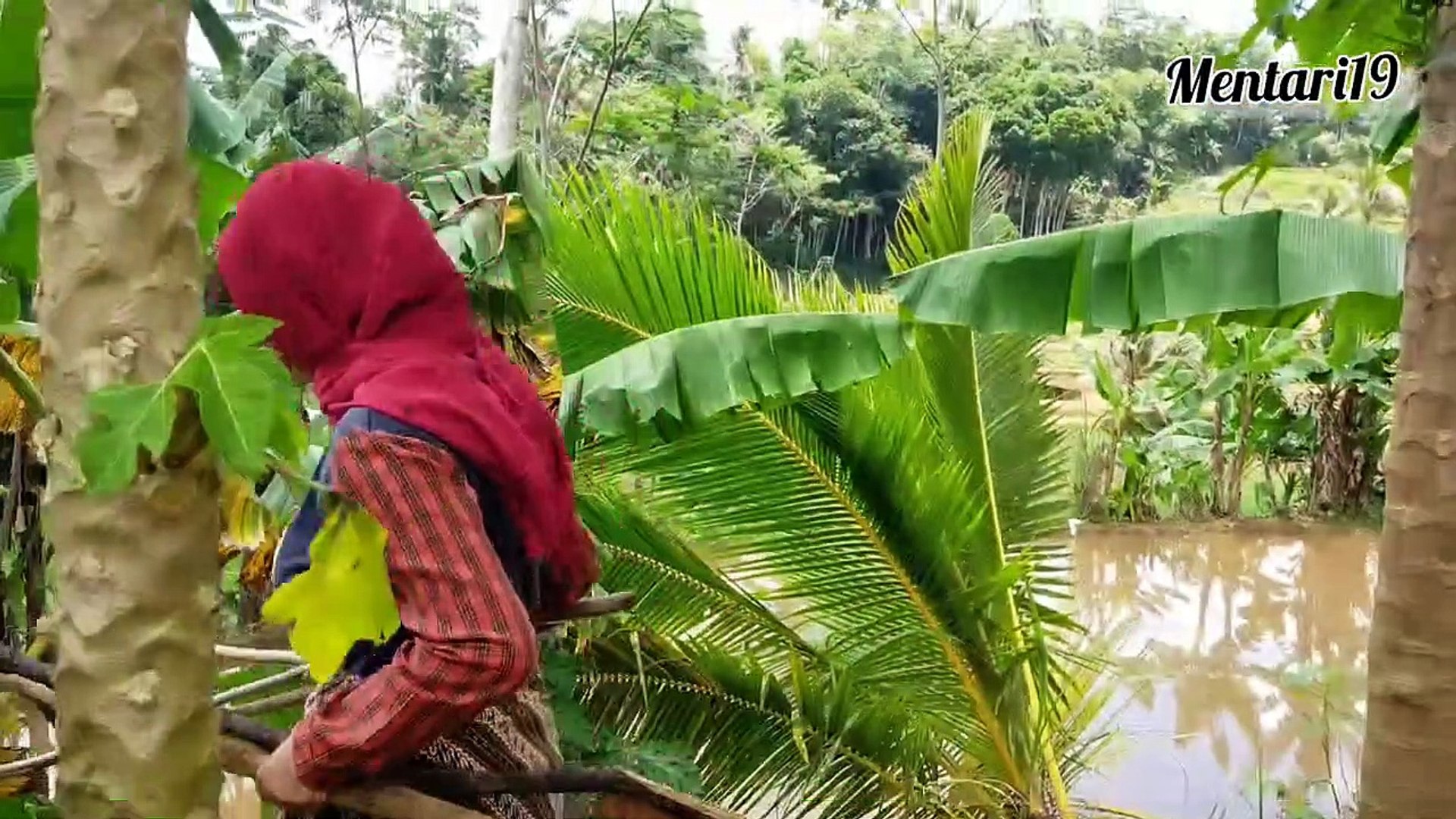 ⁣SERUNYA KEINDAHAN ALAM SAMBIL MENIKMATI IKAN MAS BAKAR BERSAMA JANDA DESA