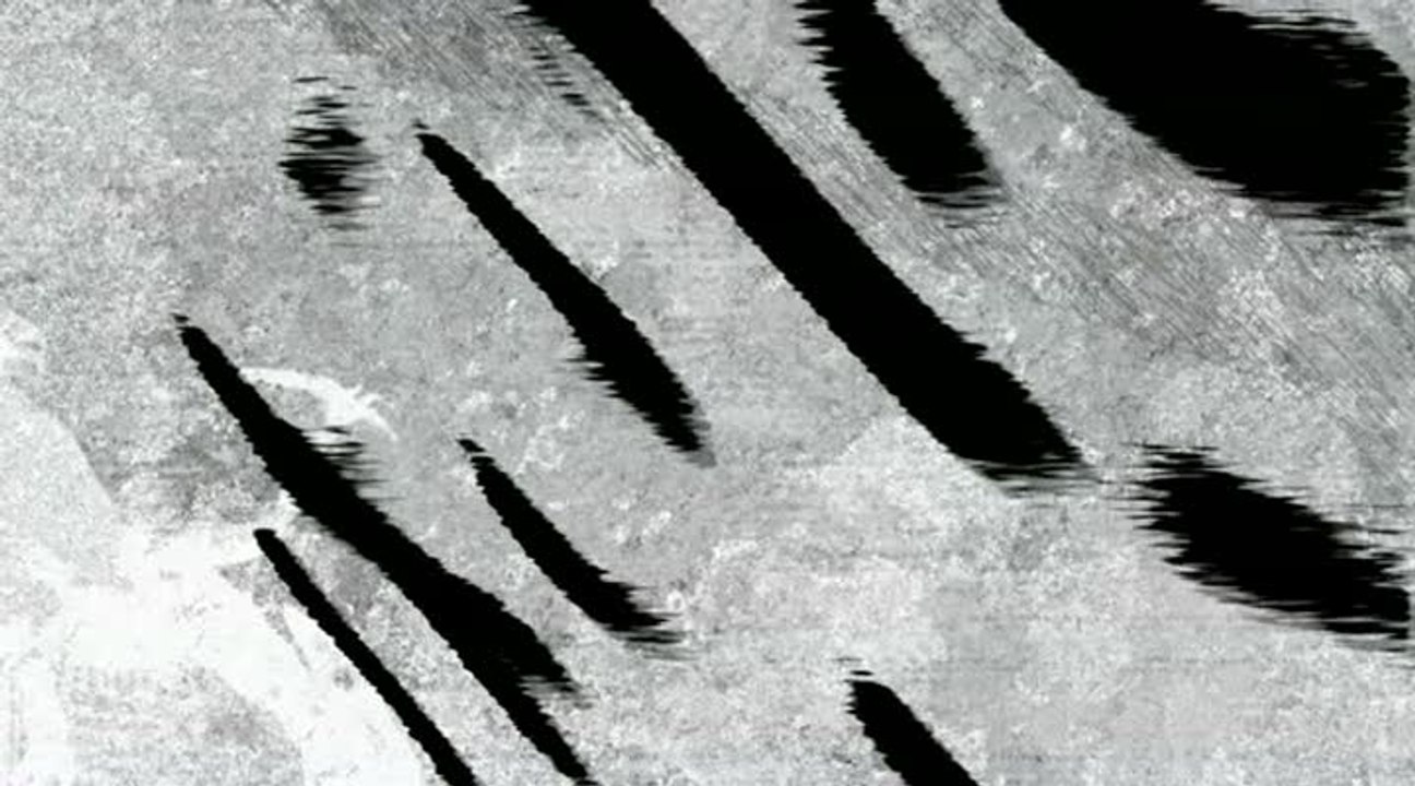 Tokyo Jungle : TGS 2010 : Premier trailer