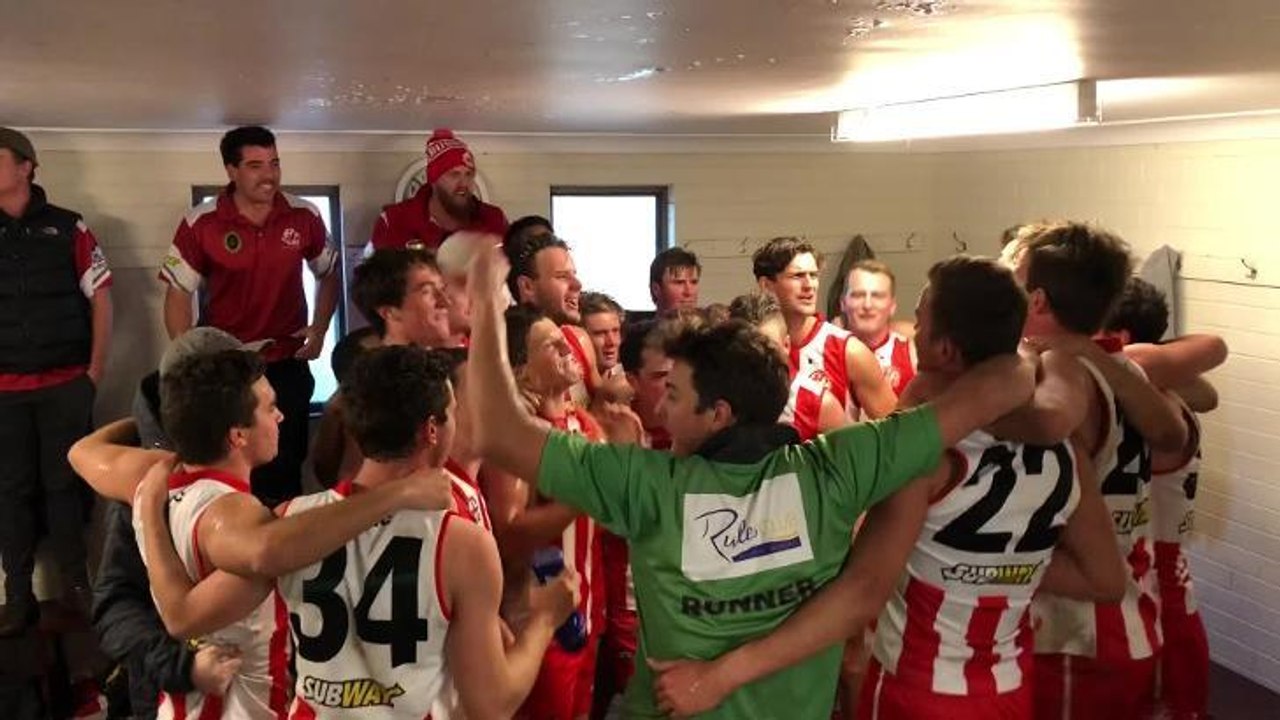 Bushpigs celebrate