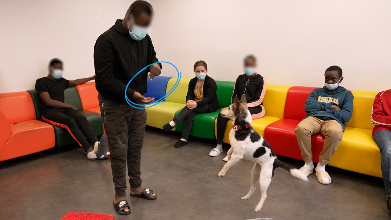 Ces chiens ont appris la langue des signes pour aider des jeunes sourds et malentendants