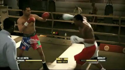 Fight Night Champion : Stamina Tips