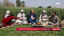 مزارع: سعر إردب القمح لا يعادل تكلفته ولا إيجار أرضه... ونشكر الرئيس السيسي على الزيادة الأخيرة