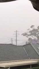 Lightning strike Port Macquarie. Video Eva Spannari