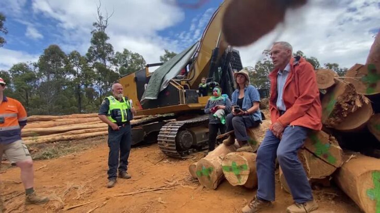 Bob Brown arrested