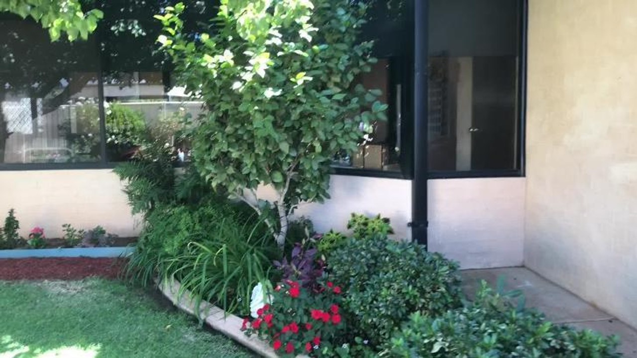 Leeton Easter open garden