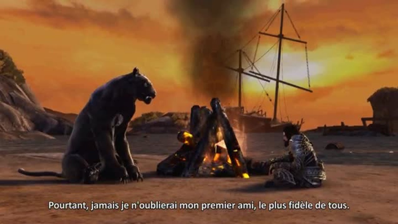 Dungeons & Dragons : Neverwinter : De l'importance d'un compagnon