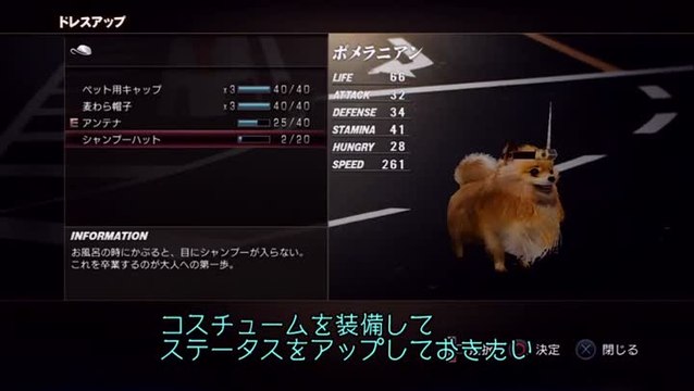 Tokyo Jungle : 17 minutes de toutounet et autres bestioles !