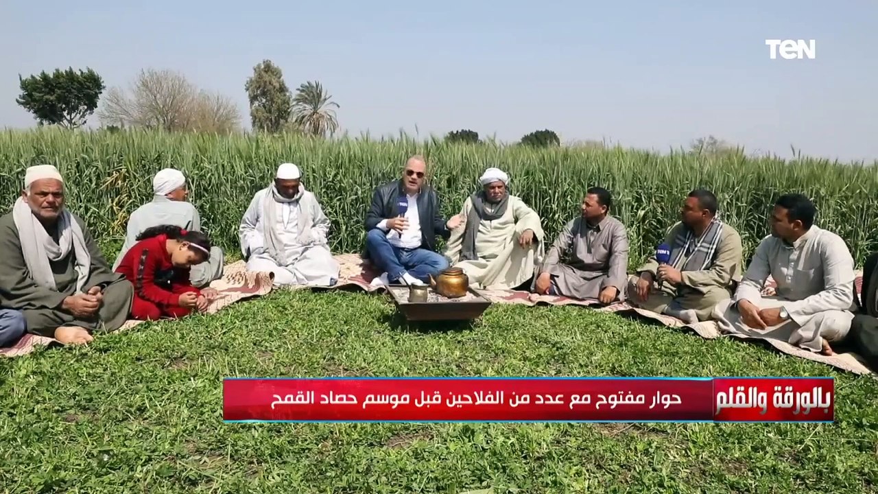 أحد المزارعين: نطالب الجمعيات الزراعية بتحصيل غلة القمح بدلا من التاجر حتى نستفاد بالحافز