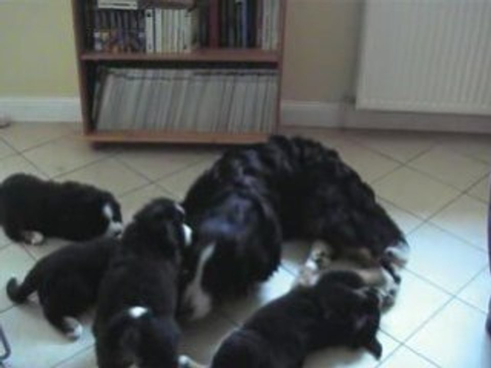 On joue avec maman