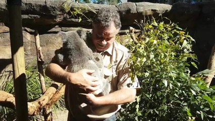 Billabong Zoo owner Mark Stone with a koala joey.