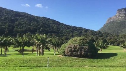 Скачать видео: Lord Howe Island