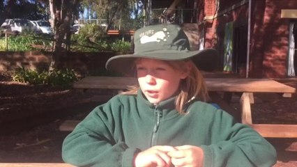 ArtWalk 2020 support