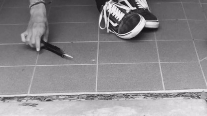 Hastings Secondary College Port Macquarie Campus_Feathers