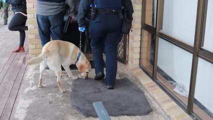The Examiner - Tasmanian Police Bandidos drug sting drone and camera footage