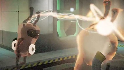 Warp : Capacités spéciales