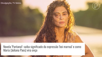 Download Video: Novela 'Pantanal' na Globo: o que é o boi marruá? Como Maria vira onça? Descubra!