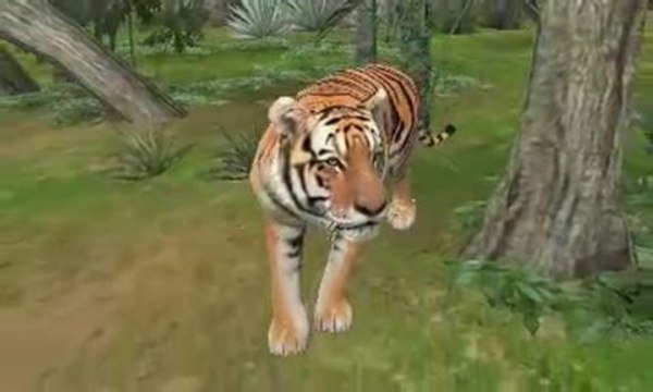 Zoo Resort 3D : Le panda, le tigre et l'ours polaire