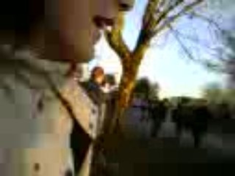 Video-0025