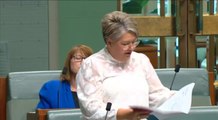 Mery Swanson speaks in Parliament on M1
