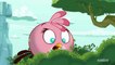 Angry Birds : Seasons : Force rose