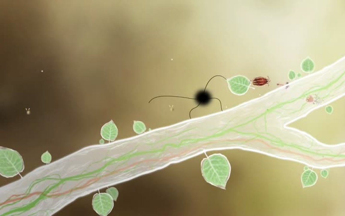 Botanicula : Teaser