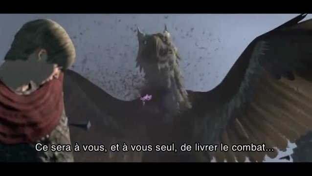 Dragon's Dogma : Progression 3 : Choisissez votre voie