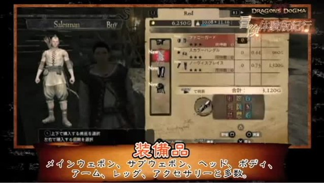 Dragon's Dogma : Tuto #4