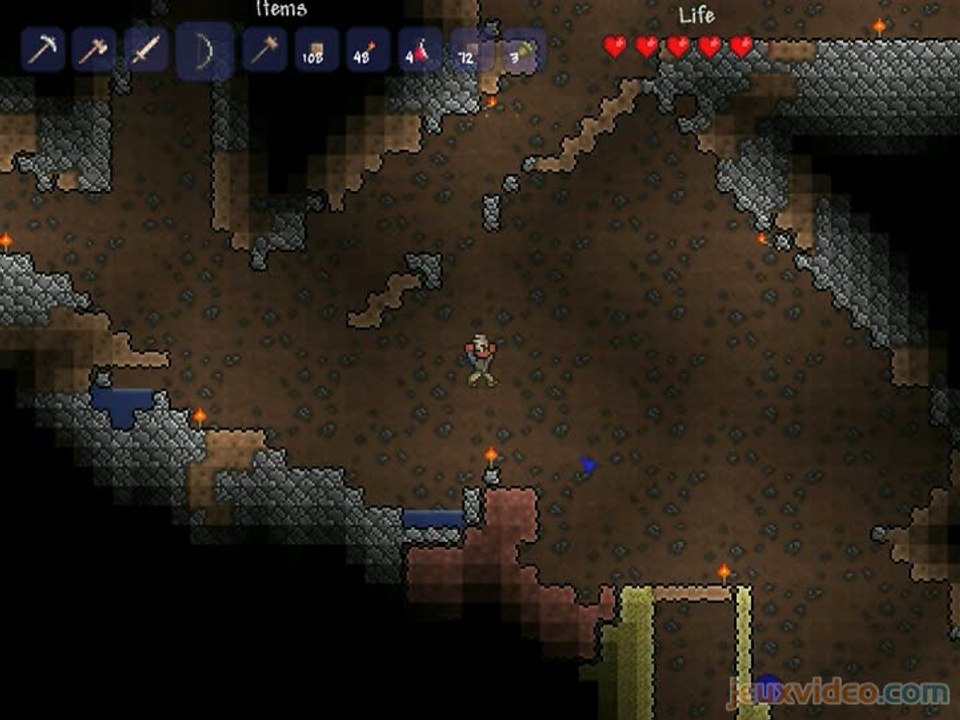 Terraria : Suicide