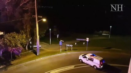 Belmont building blaze took three hours to douse