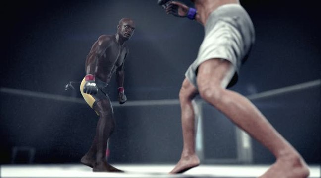 UFC Undisputed 3 : Votre combat