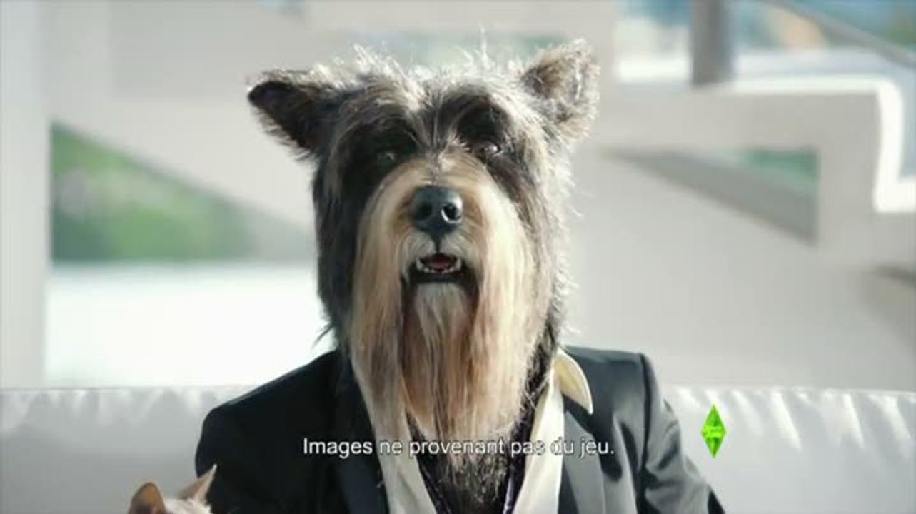 Les Sims 3 : Animaux & Cie : Pub TV n°2