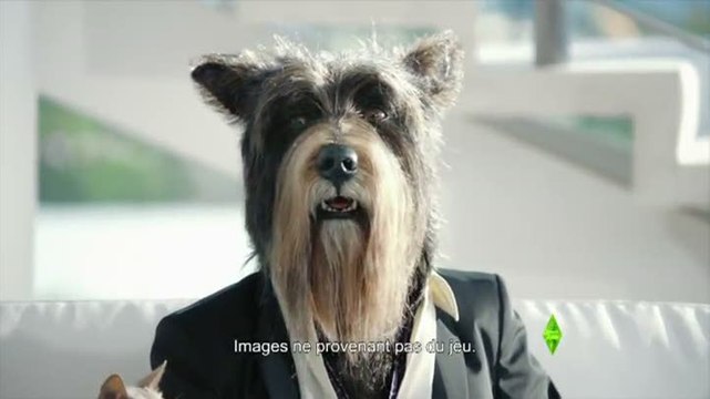 Les Sims 3 : Animaux & Cie : Pub TV n°2