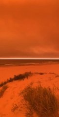 Port Macquarie goes orange