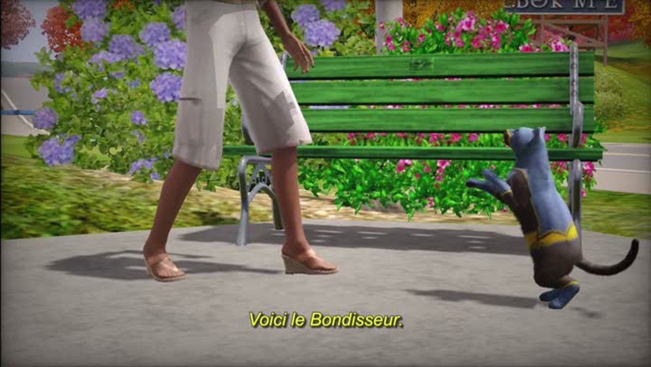 Les Sims 3 : Animaux & Cie : Pré-commande Edition limitée