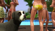 Les Sims 3 : Animaux & Cie : Trailer d'annonce