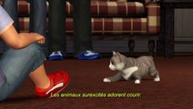 Les Sims 3 : Animaux & Cie : Présentation détaillée