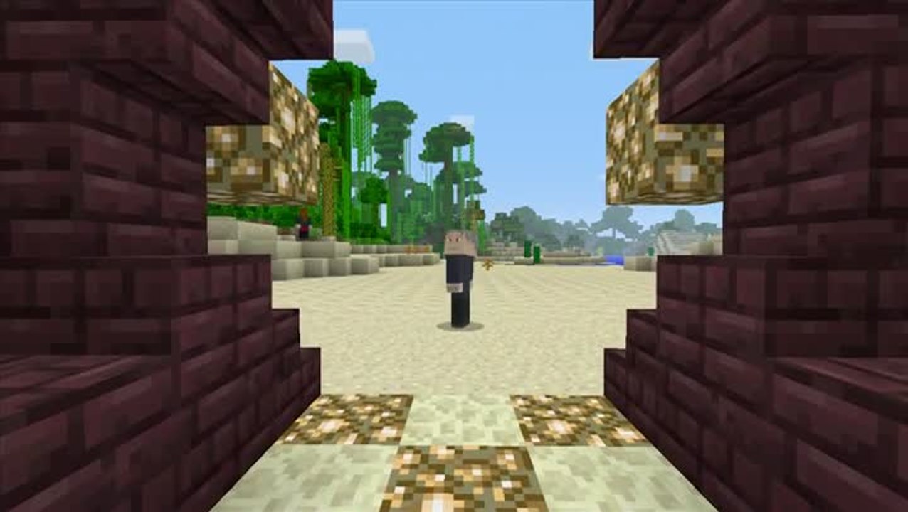 Minecraft : Pack de costumes Dr Who