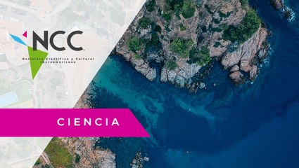 Argentina crea el Centro Interinstitucional en Investigaciones Marinas