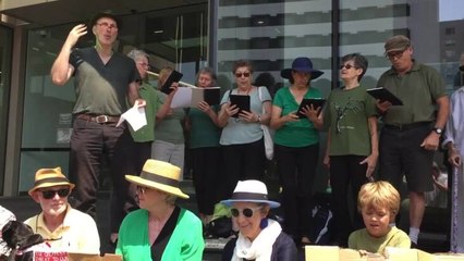 Protestors gathering outside Newcastle City Council in Newcastle West